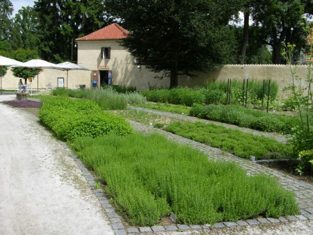 kavarna-u-bylinkove-zahradky